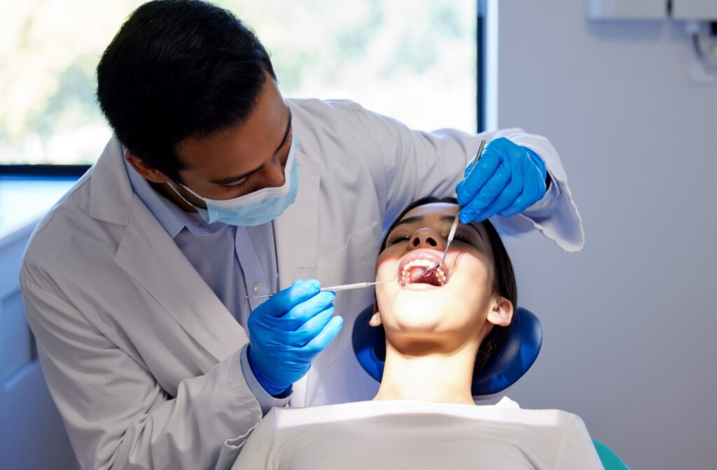 A dentist examines someone's mouth during a regular checkup.